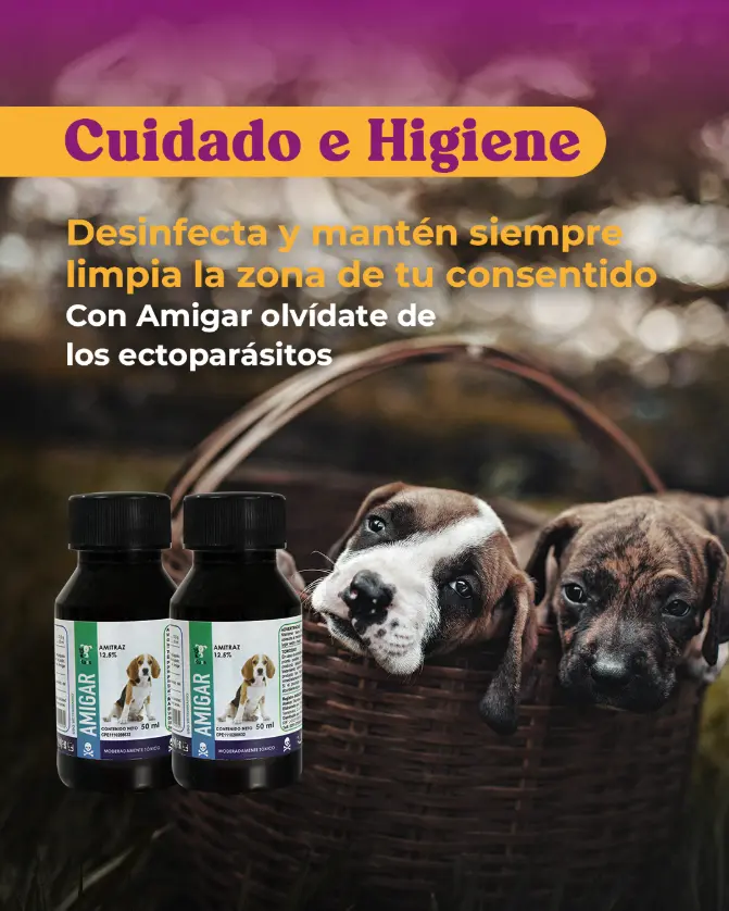 CUIDADO E HIGIENE