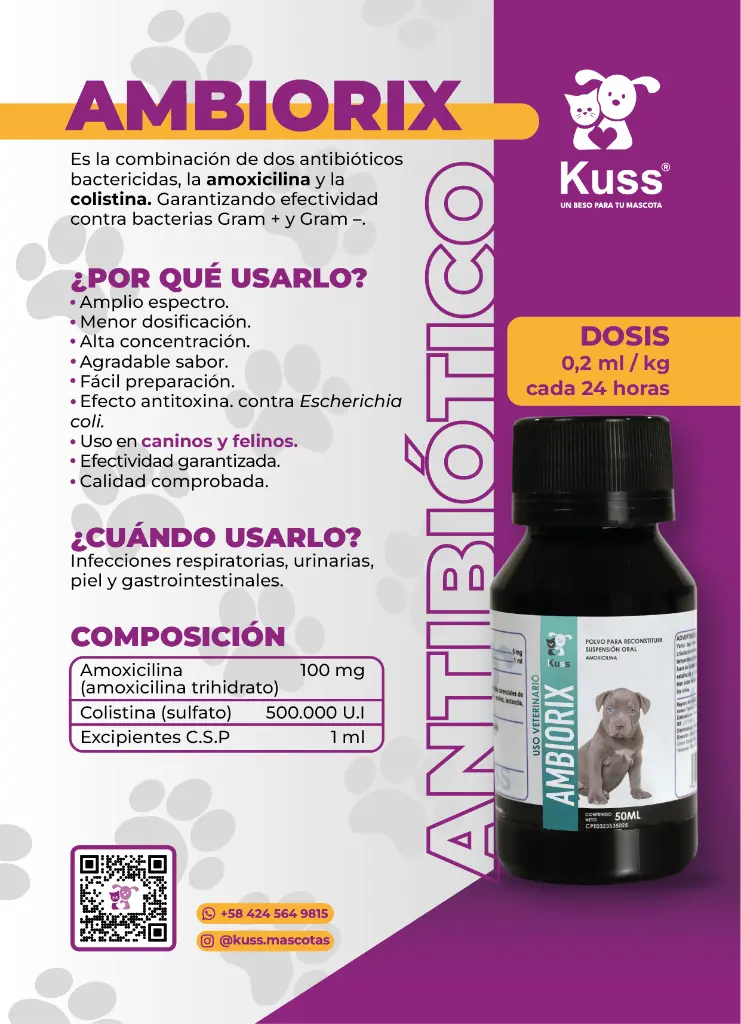 FICHA COMERCIAL AMBIORIX.webp