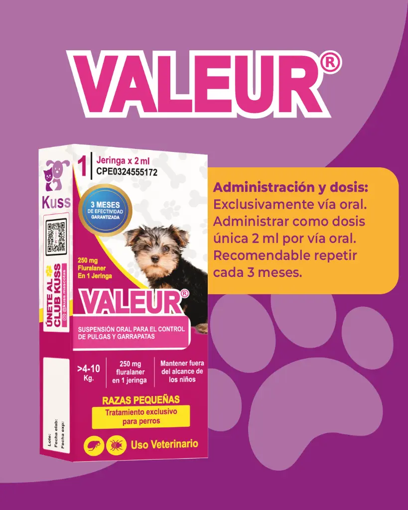 VALEUR (5).webp