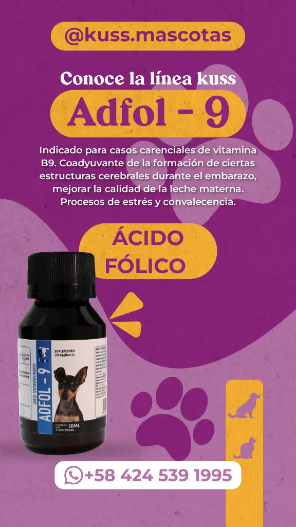 FLYER PRODUCTO KUSS (4).webp