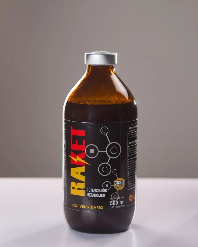 RAKET x 500ml (POTENCIADOR METABOLICO) 2x1
