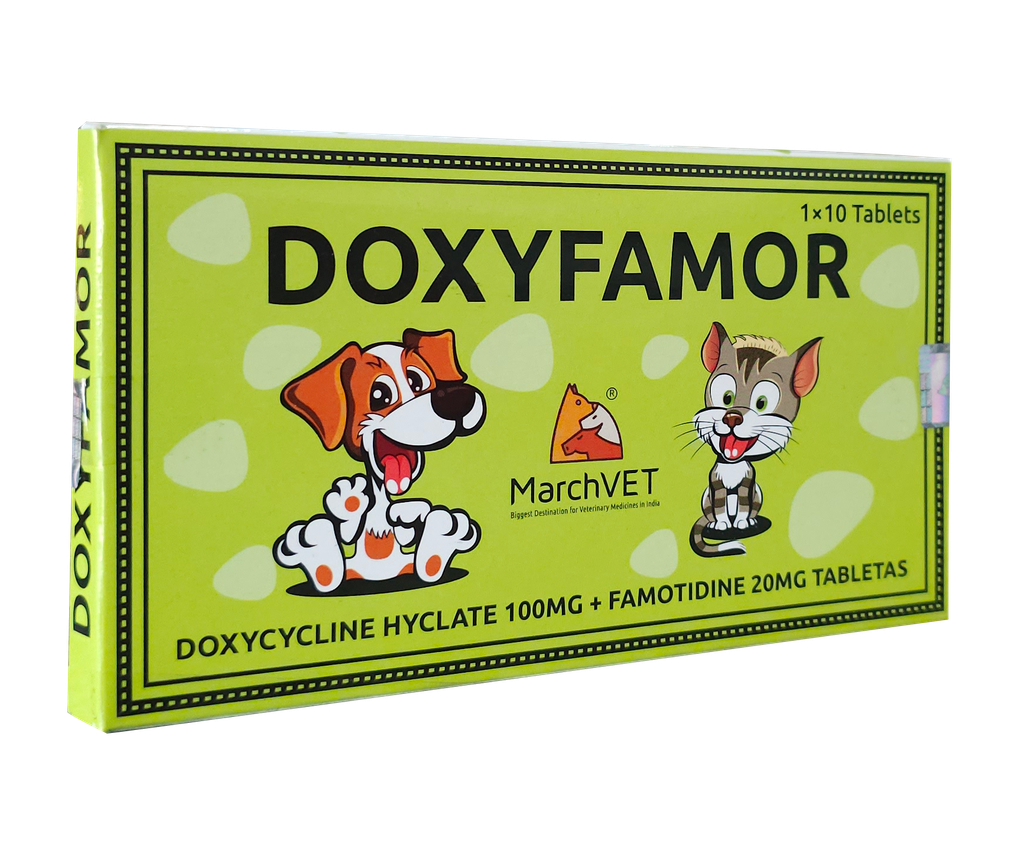 DOXYFAMOR x 10Tab (Doxiciclina 100mg + Famotidina 20mg) 