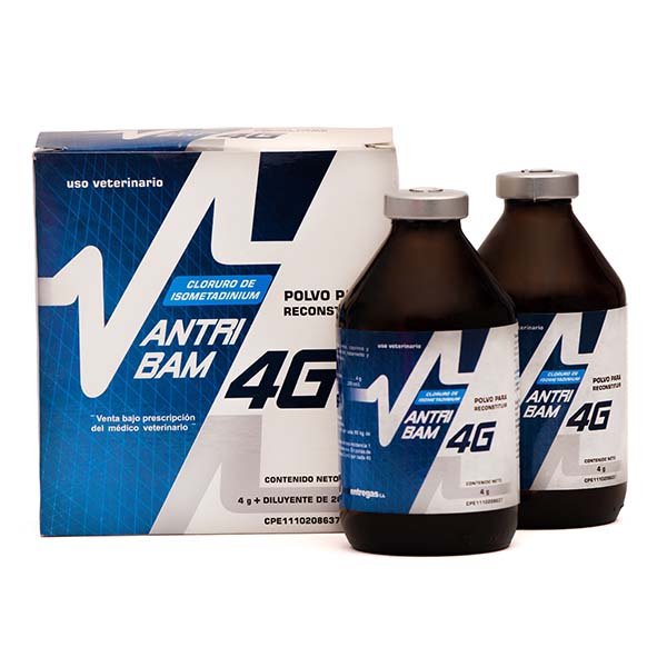 ANTRIBAM 4G + DILUYENTE 200ml